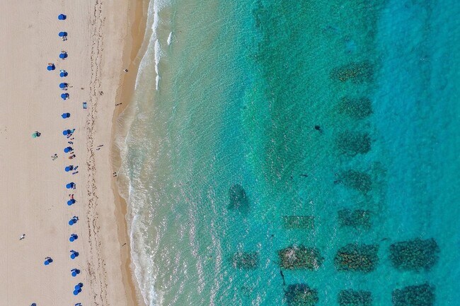 Building Photo - 3000 N Ocean Dr