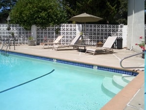 Pool - The Whitehouse Apartments