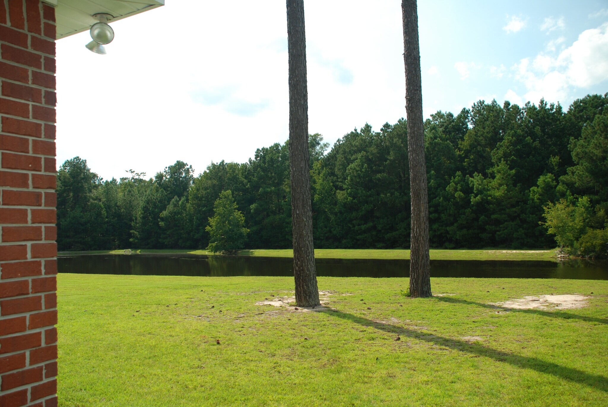 A view of the backyard and the lake - 145 White Dogwood Ln