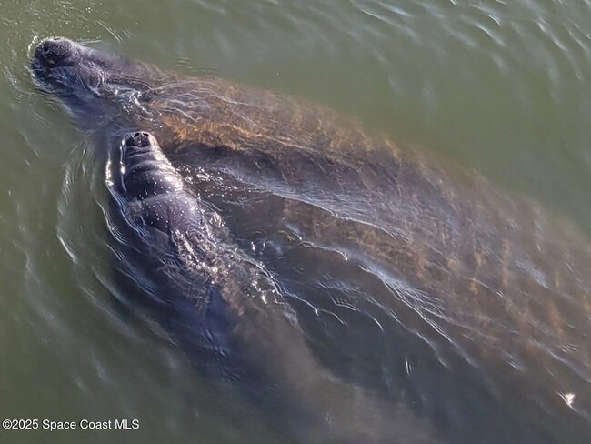 Building Photo - 190 Escambia Ln