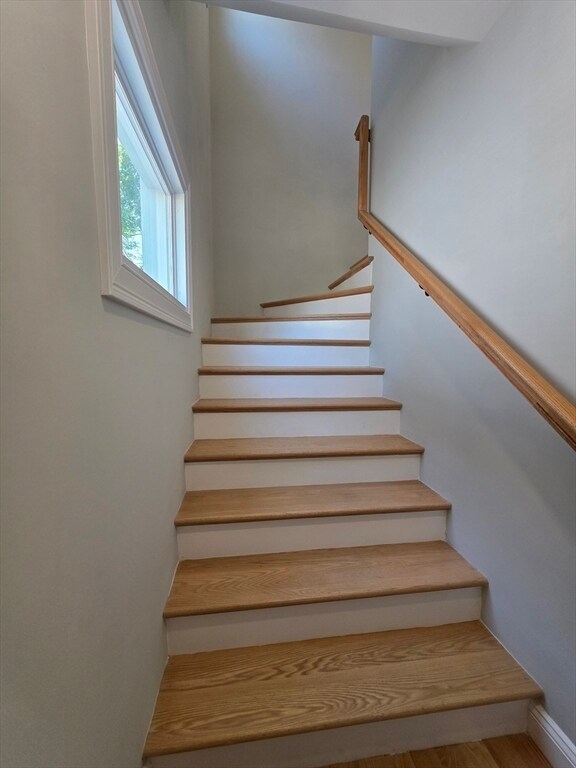 Building Photo - 40 Lorna Rd