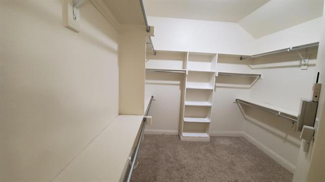 Building Photo - 715 Da Vinci Ct