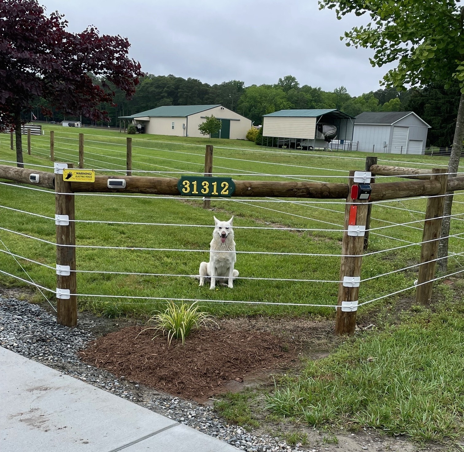 My watchdog knows all. - 31312 Rd 280B