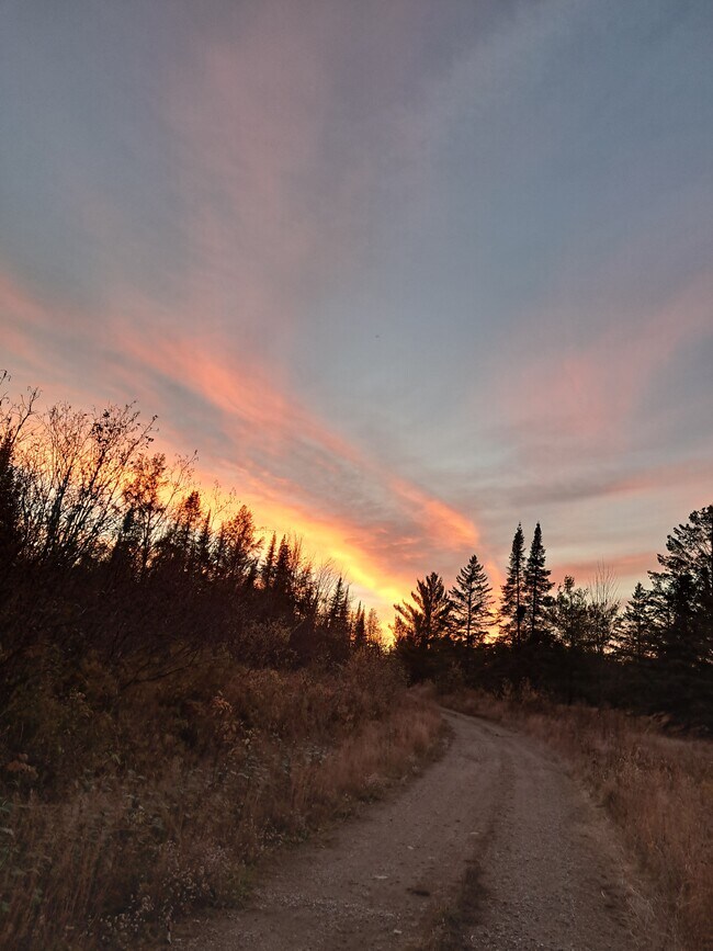 Building Photo - 9374 Alango Rd