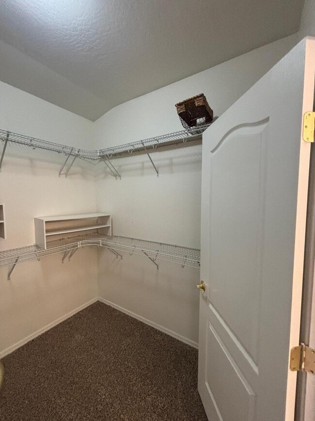 Building Photo - 5036 E Catalina Ct