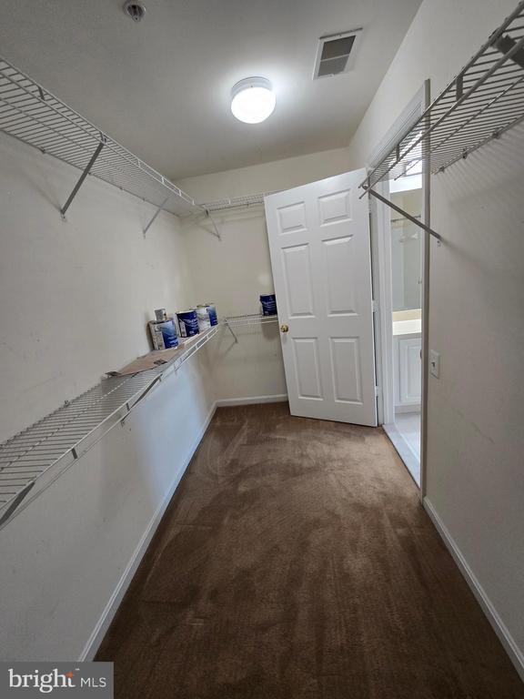 Building Photo - 18715 Sparkling Water Dr