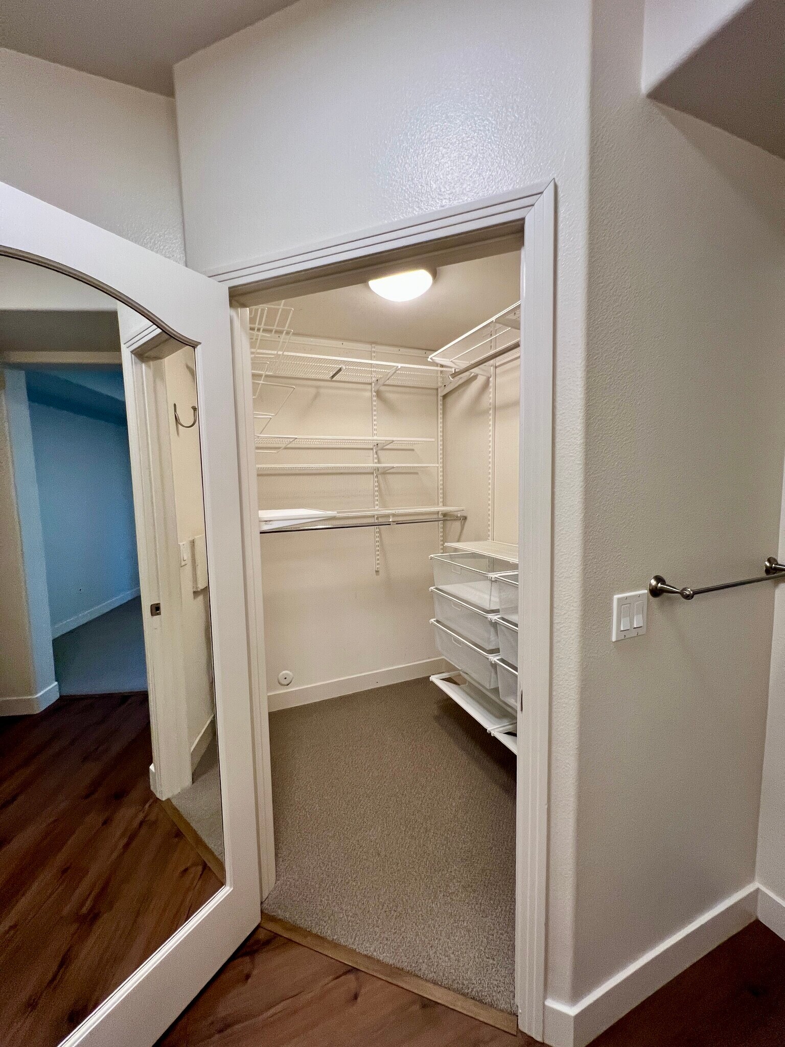 Walk-in closet off the primary bathroom - 8355 Station Village Ln
