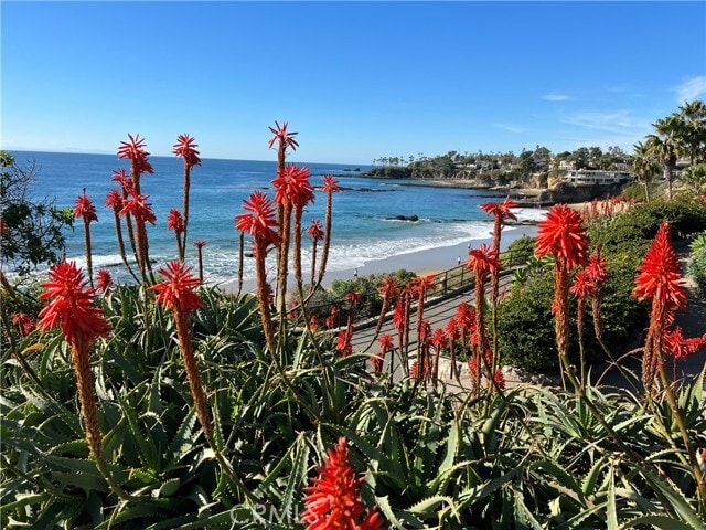 Building Photo - 251 Lower Cliff Dr