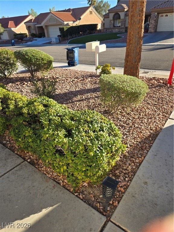 Building Photo - 8536 Desert Holly Dr