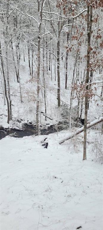 Building Photo - 163 Sequoia Trce