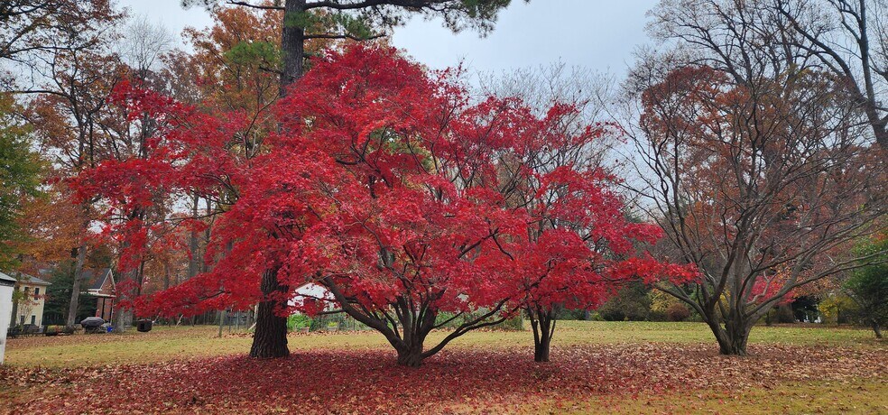 Building Photo - 1001 Orchard Way