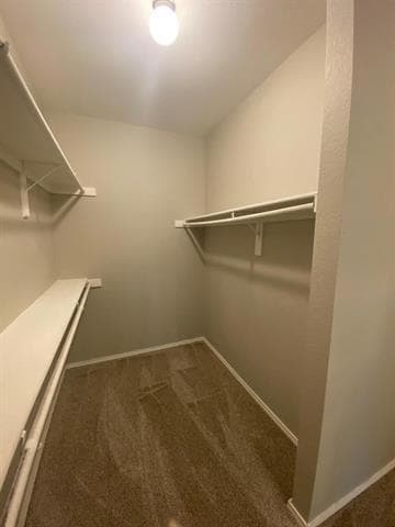 Building Photo - 10243 Waterbury Dr