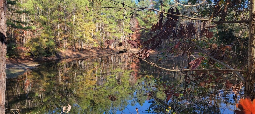 Building Photo - 105 Amick St