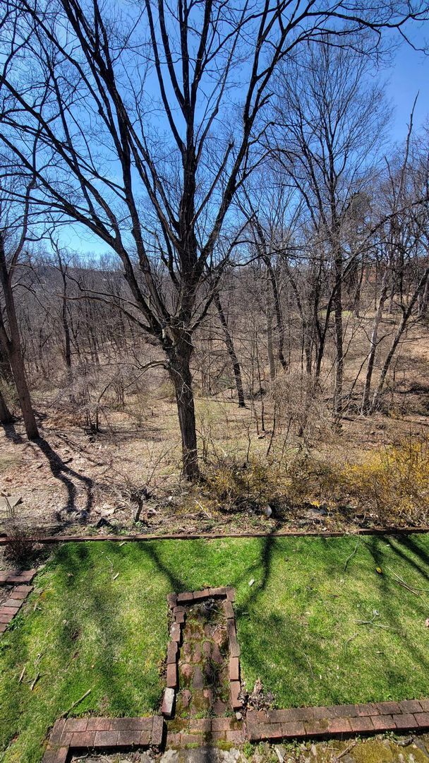 Building Photo - Spacious Three Bedroom Home