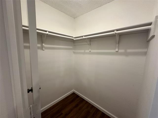 Building Photo - 6416 Brookhaven Trail