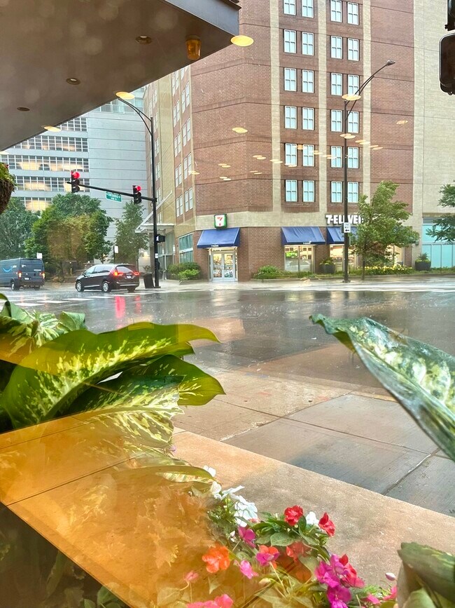 Building Photo - 600 N Kingsbury St