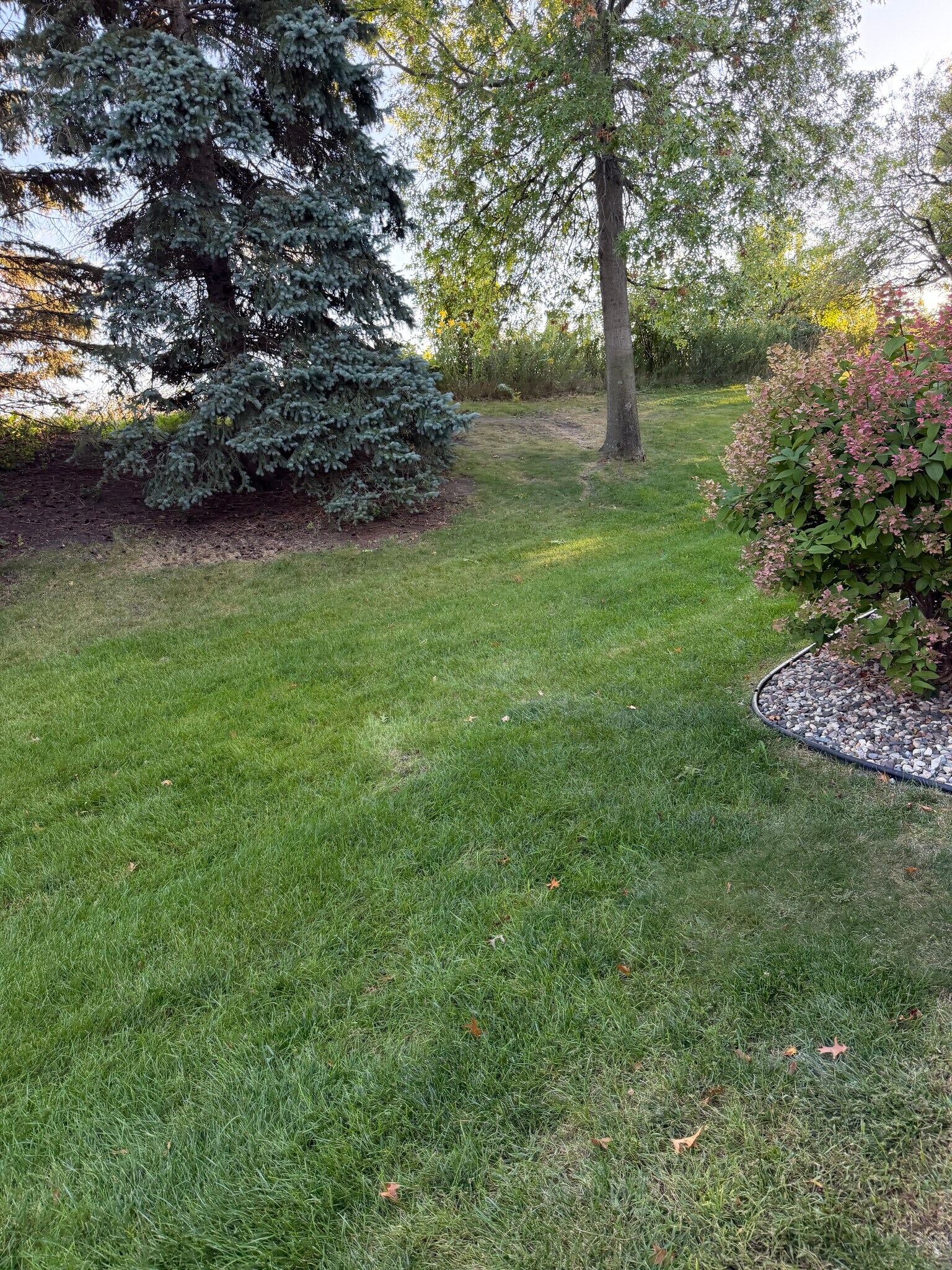 Building Photo - 8457 Kimball Dr