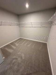 Building Photo - 3490 Timber Xing Ave