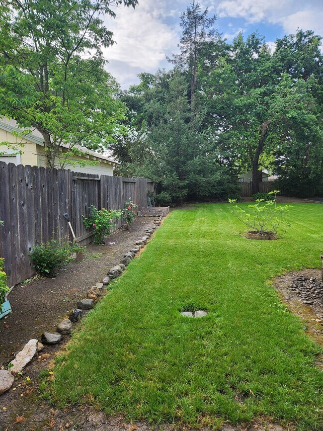 Building Photo - Charming 2 bd, 1 bath near downtown Santa Rosa