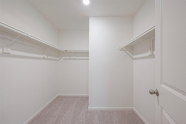 Building Photo - 3993 Fringe Tree Ln