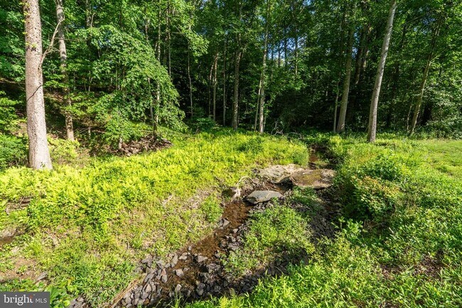 Building Photo - 10899 Woodland Falls Dr
