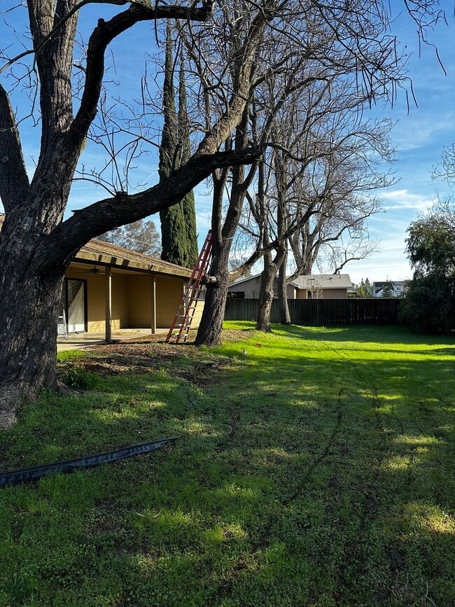 Building Photo - 3 Bed 2 Bath 3 Car Garage in Granite Bay with an Optional Fenced Pasture