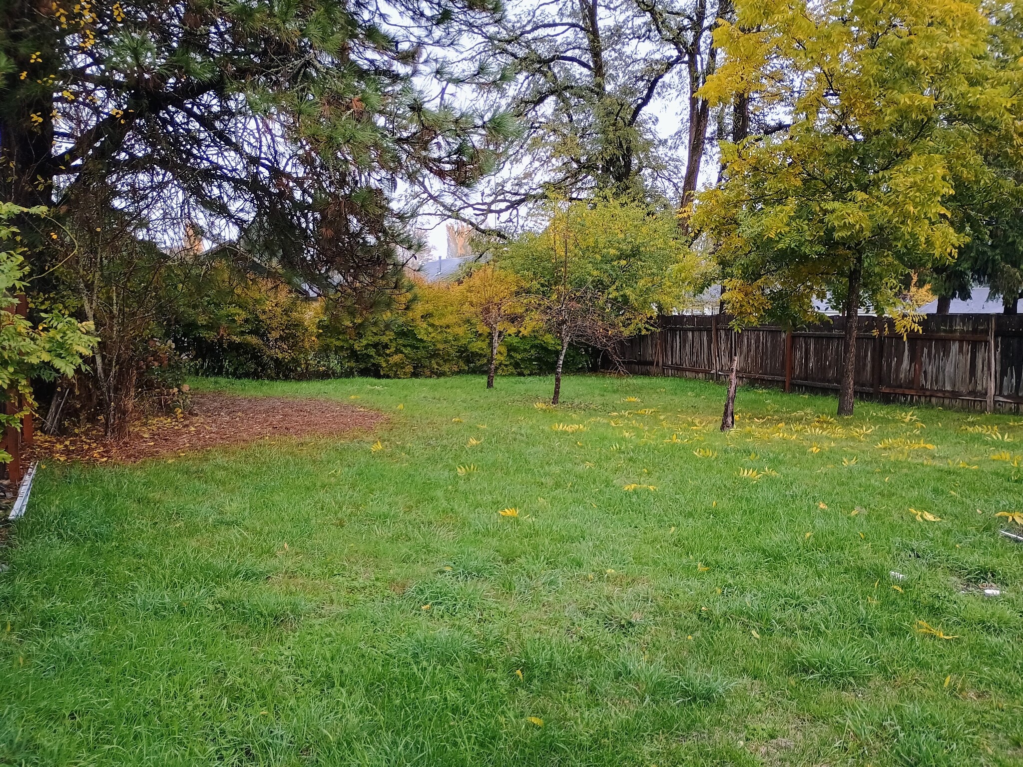 Building Photo - 642 Weed Ave