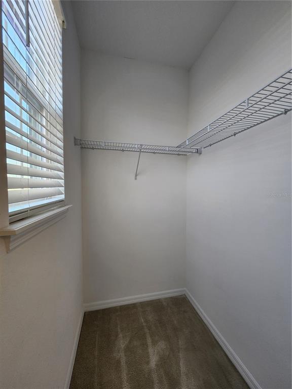 Building Photo - 10360 Austrina Oak Lp