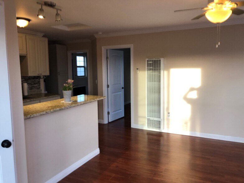 Living room - 381 Elkwood Ave