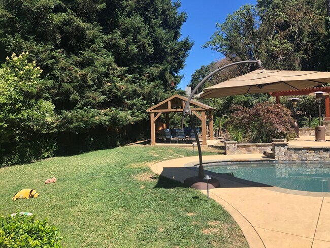 Building Photo - 125 Timberline Ct