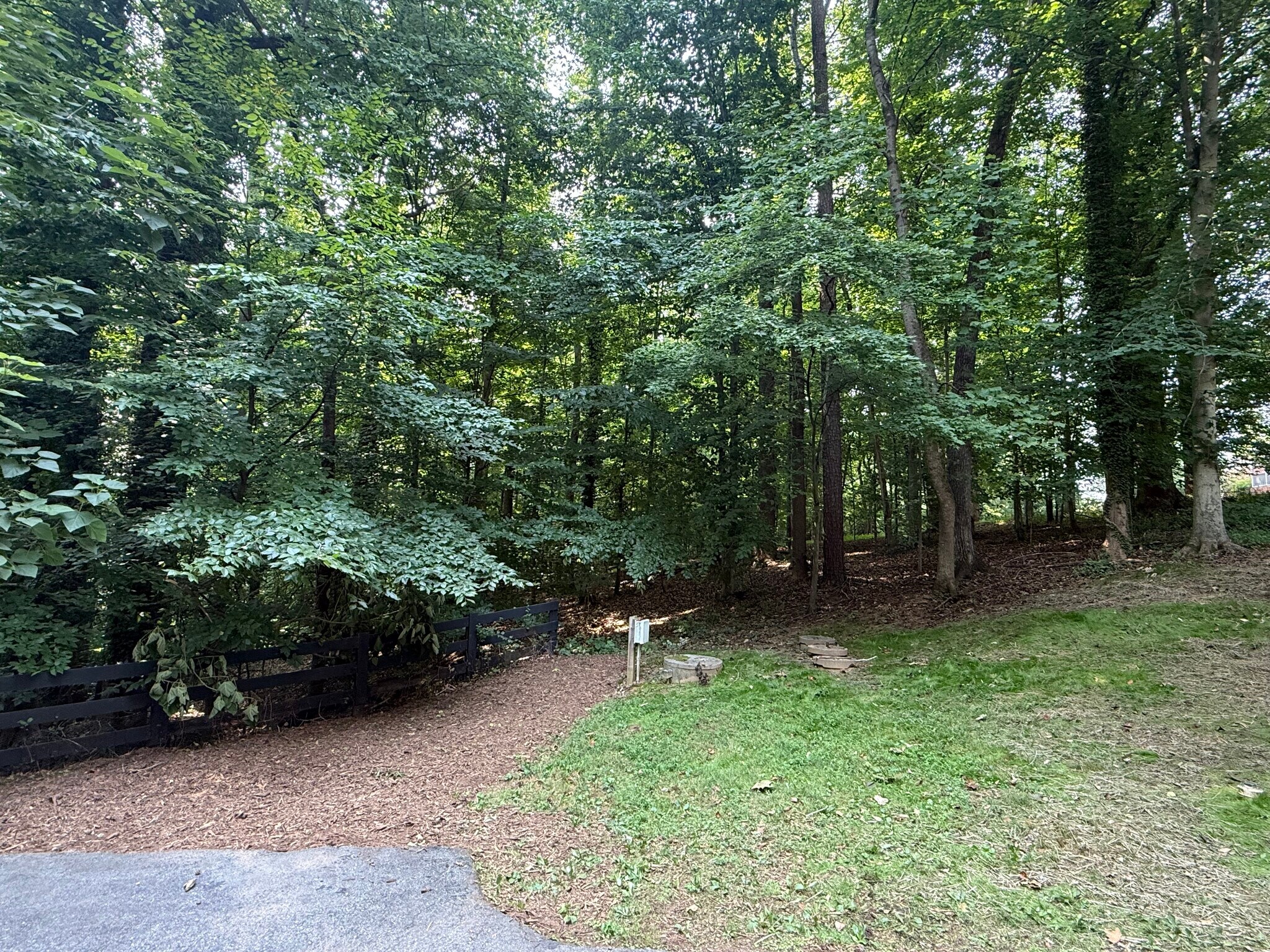 wooded rear - 305 E Monacan Dr
