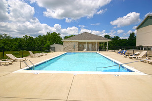 Building Photo - Meadows at Shadow Ridge