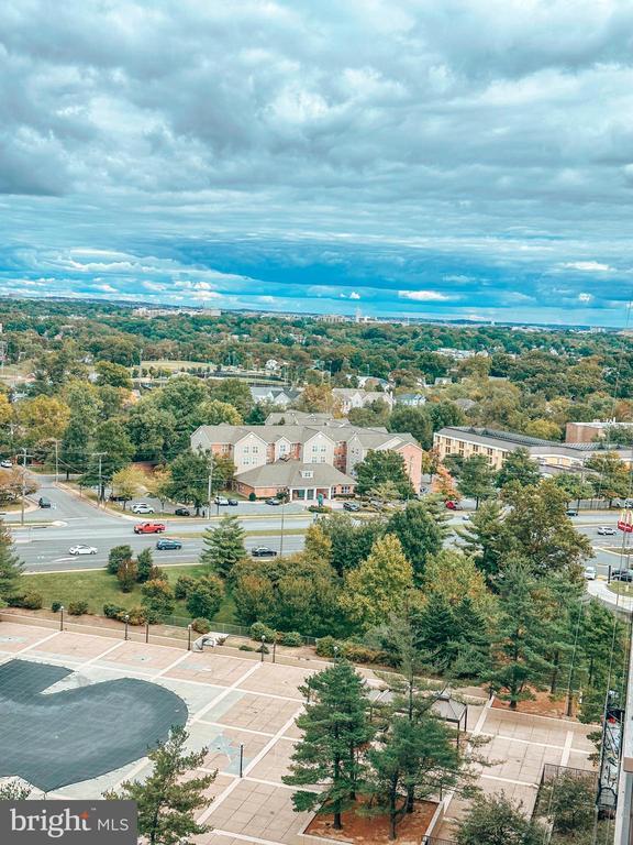 Building Photo - 3705 S George Mason Dr
