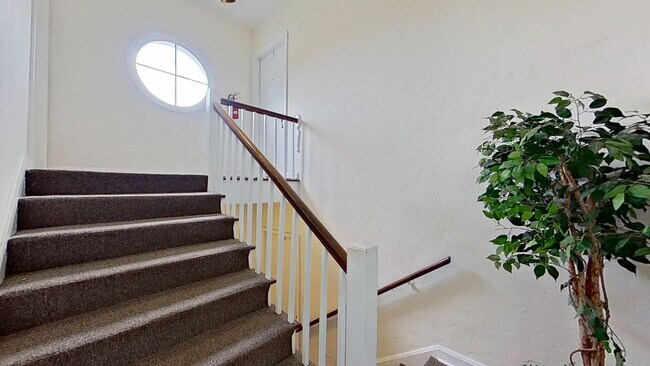 Building Photo - 1245 Belmont Terrace