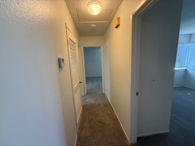 Building Photo - 27648 Susan Beth Way