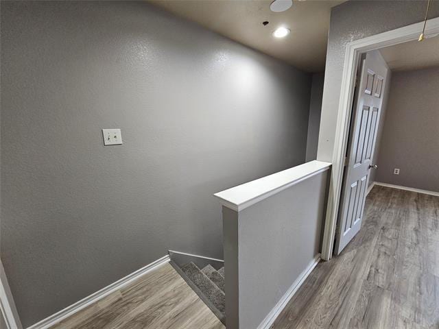 Building Photo - 611 Oriole Blvd