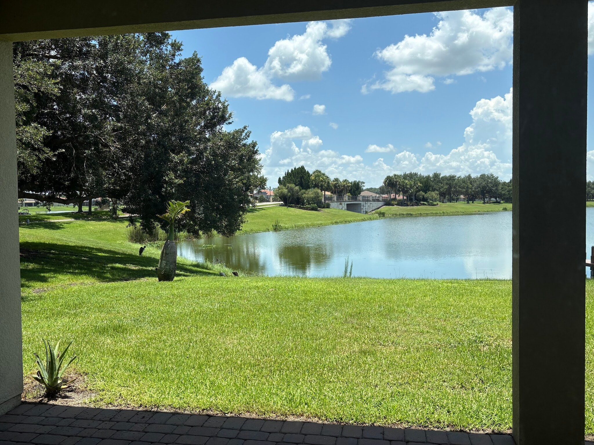 Building Photo - 3700 Paradiso Cir