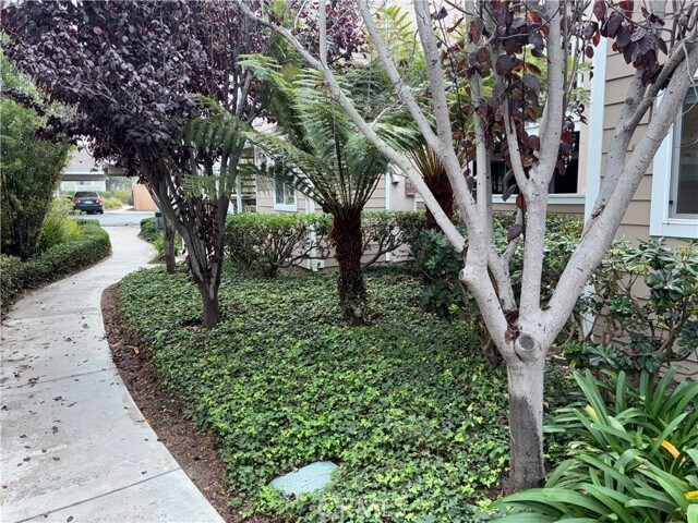 Building Photo - 34008 Selva Rd