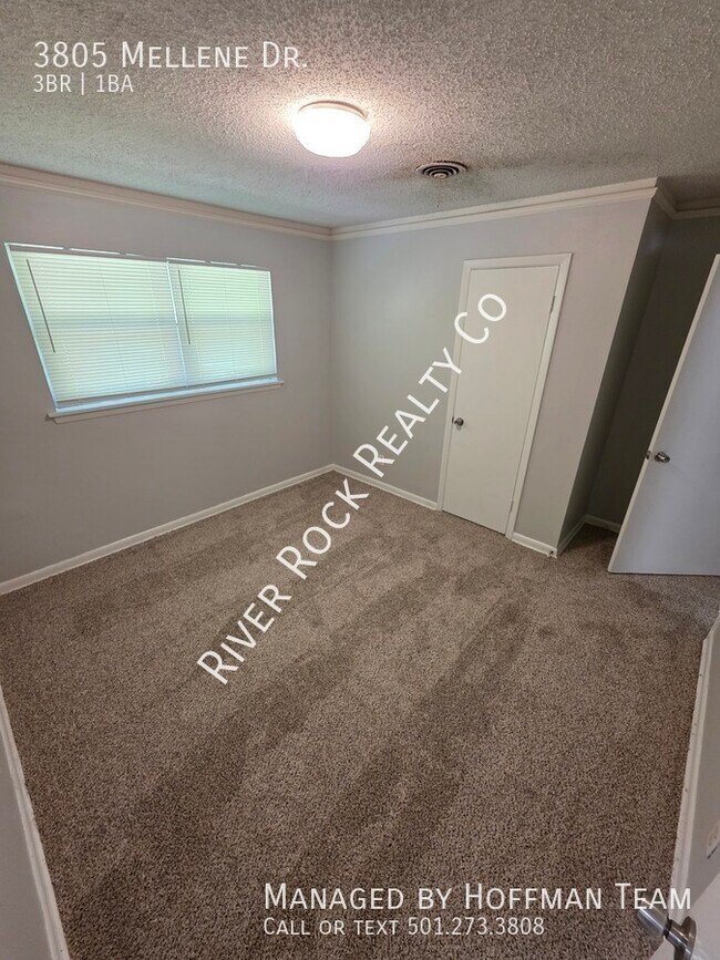 Building Photo - 3805 Mellene Dr