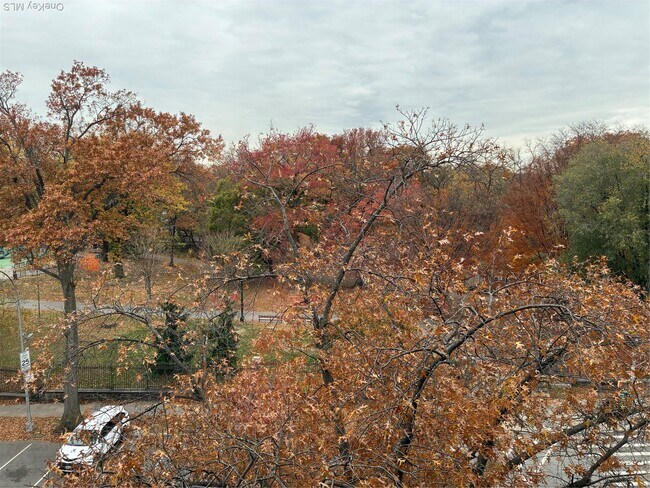 Building Photo - 610 Waring Ave