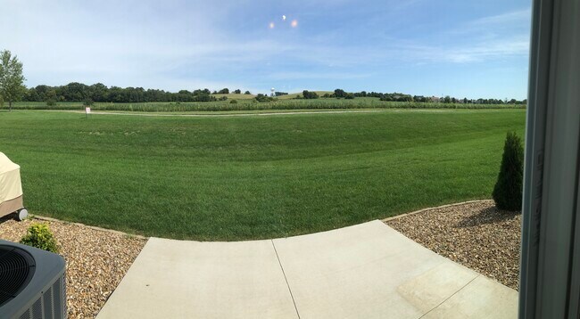 Patio - 1902 Wrigley St