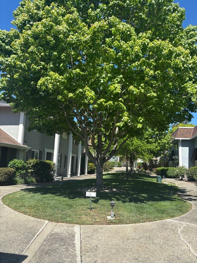 Building Photo - Bright & Airy 3-Bedroom Condo in Prime Moraga Location!