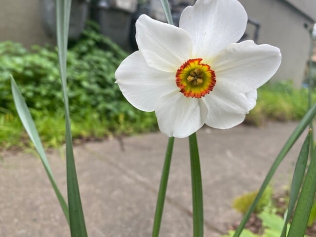 Building Photo - 2345 Fulton St