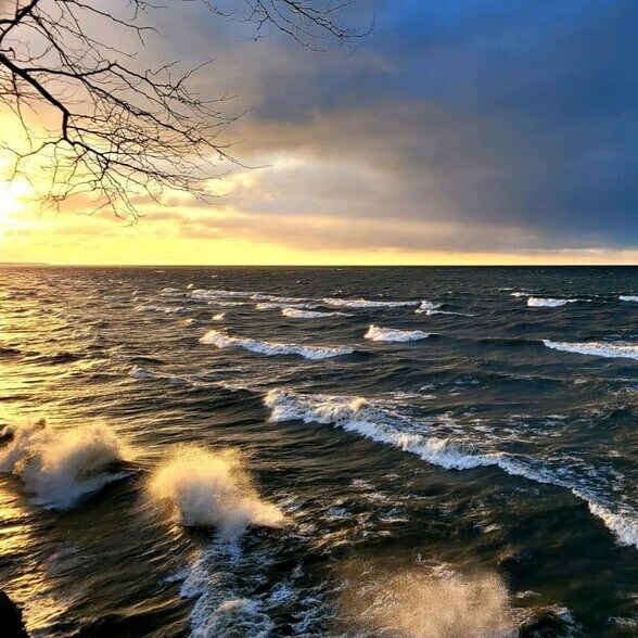 Building Photo - 1124 Summit Ave