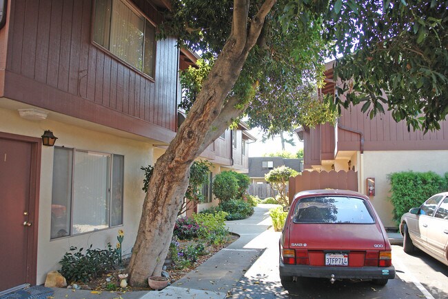 Building Photo - 1581 El Tigre Ct