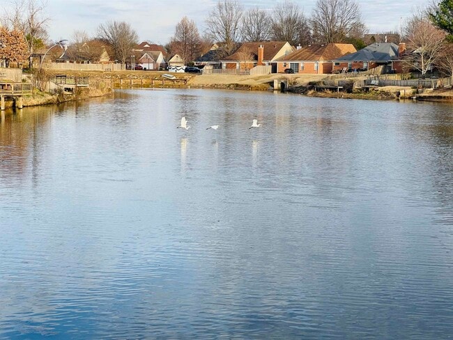 Building Photo - 2256 Lake Springs Ln