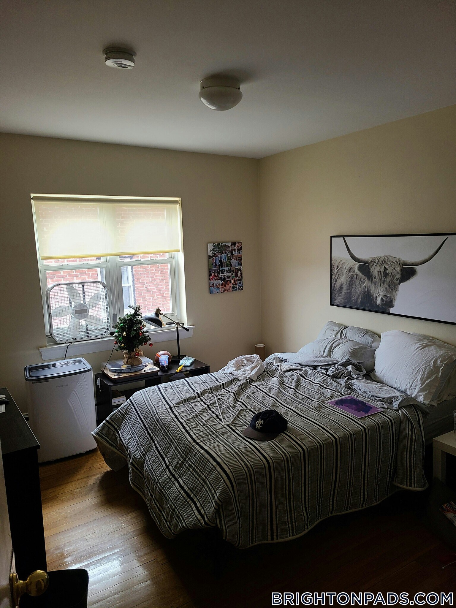 Building Photo - 65 Chiswick Rd