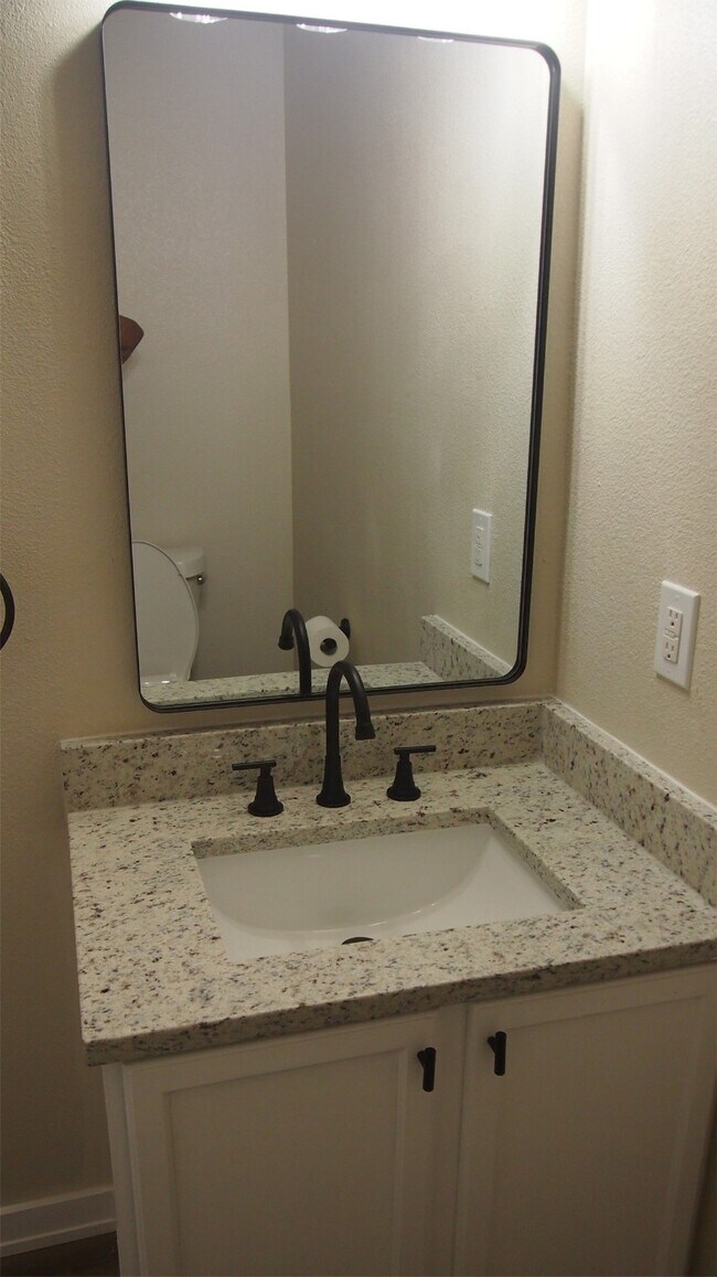 Building Photo - 3933 Brook Hollow Dr