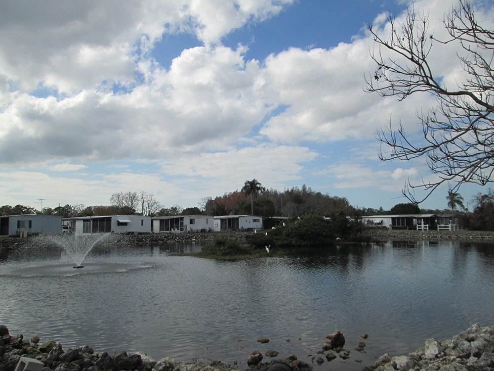 LAKE WITH TURTLES, BIRDS, ETC. - 6120 Biscaya Ave