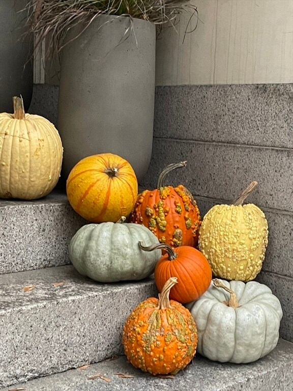 Building Photo - 2 Harvard Pl